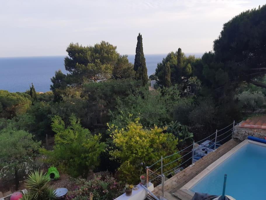Haut De Villa Au Mont St Clair Vue Exceptionnelle Mer Et Foret Terrasses, Piscine, Petanque, Solarium Prives Sète Eksteriør billede