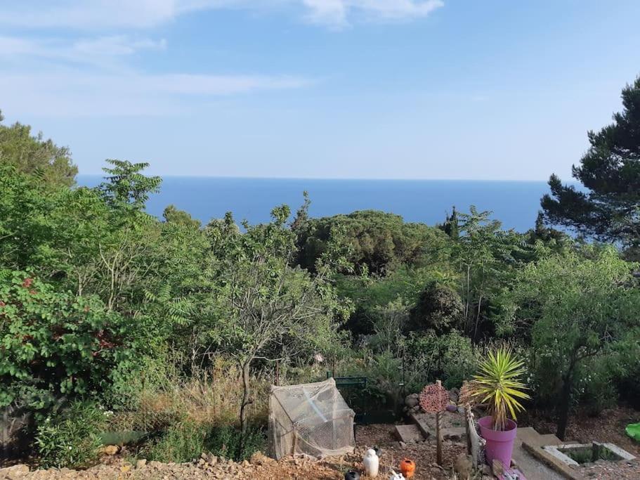 Haut De Villa Au Mont St Clair Vue Exceptionnelle Mer Et Foret Terrasses, Piscine, Petanque, Solarium Prives Sète Eksteriør billede